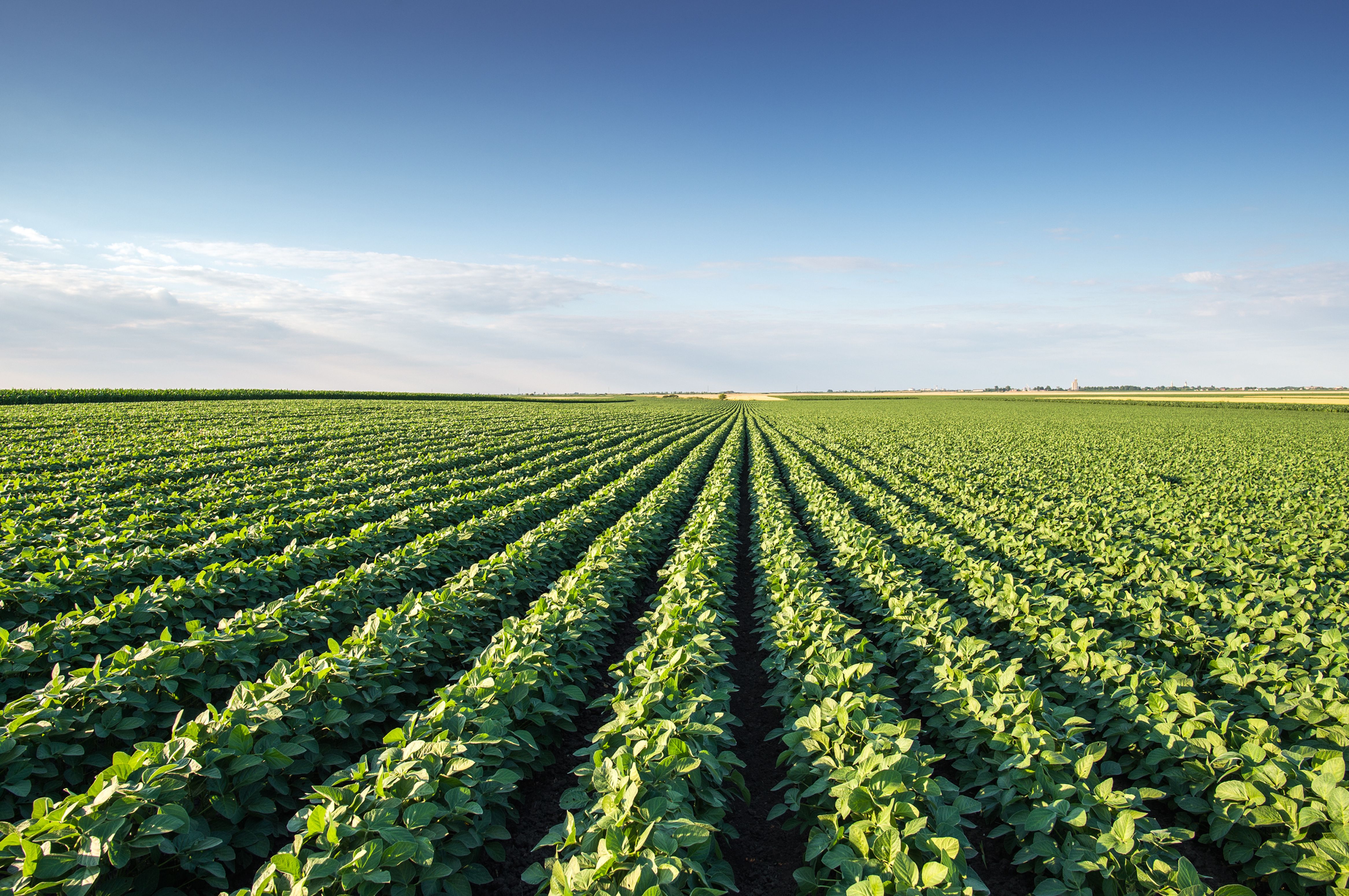 Balance Over Extremes